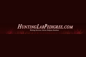 Hunting Lab Pedigree 